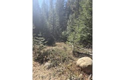 192 Meadowlark Ln, Cusick, WA 99119