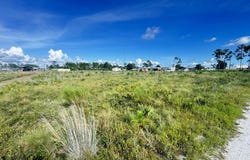 Margies Ln lot: 8, Wewahitchka, FL 32465
