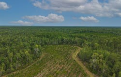 NE 246th St, Old Town, FL 32680