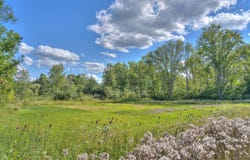 VL Spring Arbor Rd, Jackson, MI 49201