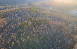 Punkin Flat Road, Marshall, AR 72650
