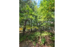 Meadow Rd, Seneca, PA 16346