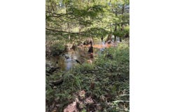 001 Pea Ridge Connector Rd, Pace, FL 32571
