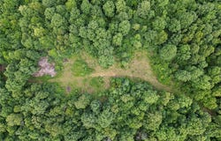 52 Summerfield Creek, AR 72482