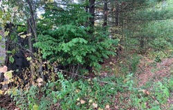 E Rossel Lake Road, Walkerville, MI 49459