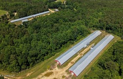 Smithtown Chicora Road, State Line, MS 39362