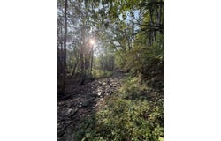 Dennis Road, Dillsboro, IN 47018