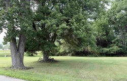 W Northshore 57 Drive, Albion, IN 46701