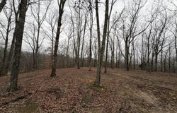 Highway 50 E 1,2&3, Centerville, TN 37033