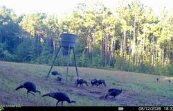11330 Ms-429, Carthage, MS 39051