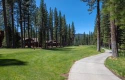 141 Hawk Ridge, Clio, CA 96106