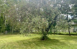 2223 Deeter Road, Luzerne, MI 48636