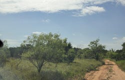 County Rd 2225, Iredell, TX 76649