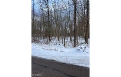 Walter Main Road, Geneva, OH 44041
