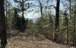 Foxcroft Lane, Elizabeth, AR 72531