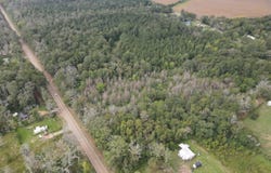 Mississippi 35, Forest, MS 39074