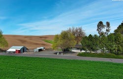19572 SR 194, Pullman, WA 99163