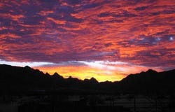 E COUGAR Trail, Saint David, AZ 85630