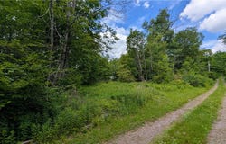 285 Davis Lane, Hamden, NY 13782