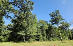 Reames Rd, Zachary, LA 70791