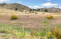 3033 Suri Trl, Bellvue, CO 80512