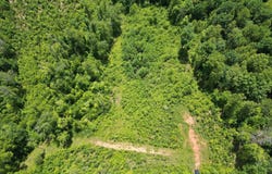 Colemans Mill Road, Gladstone, VA 24553