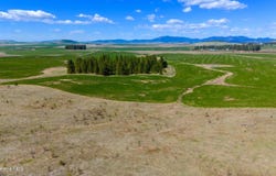 Lone Moose Dr lot: 5, Plummer, ID 83851