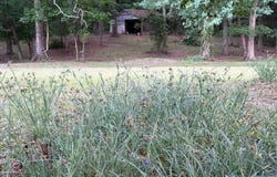 1121 County Road 70, Fyffe, AL 35971