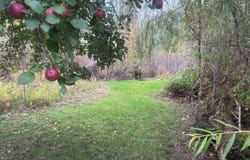 1381 Carlton Rd, Cloquet, MN 55720