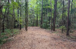 County Road 235, Elba, AL 36323
