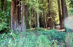 026 Moore Avenue, Eureka, CA 95501