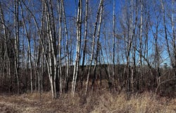 8601 E County Rd L, Solon Springs, WI 54873