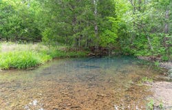 Top Ozark Road, Belgrade, MO 63622