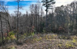 MUNFORD GILTEDGE Rd, Burlison, TN 38015