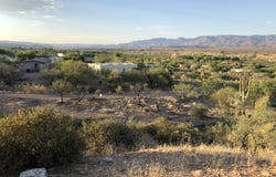 68 Saguaro Road lot: 68, Tonto Basin, AZ 85553