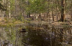 00 BENZIE HIGHWAY, BENZONIA, MI 49616
