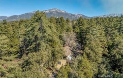 52365 Pine Ridge Rd, Idyllwild, CA 92549