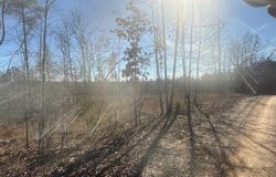 TRACT 4 GEORGE WALTER Rd, Bolivar, TN 38008