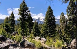 3414 Divide Creek, Divide, MT 59727
