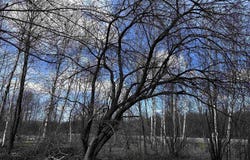 02 HICKORY ROAD, Curtiss, WI 54422