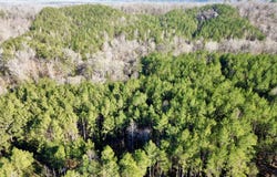 Ararat Rd Tract B, Toxey, AL 36921
