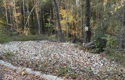 Weeping Cherry Lane, Columbia, SC 29212