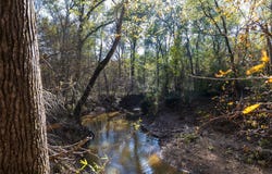 County Road 1135, Kennard, TX 75835