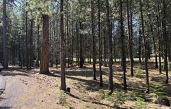13471 Dahlia, Black Butte Ranch, OR 97759