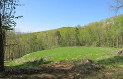 44 Highway 117, Flat Rock, AL 35966