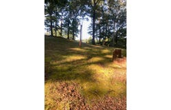 60 Cannon Trail, CHICKAMAUGA, GA 30707