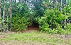 County Road 1375, Warren, TX 77664