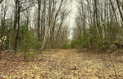 Skyline Ridge Rd lot: 19, Becket, MA 01223
