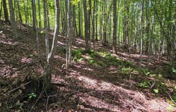 19 Meditation Ridge Drive, Nebo, NC 28761