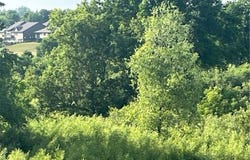 113 Par Drive, Albany, MN 56307